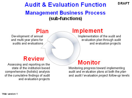 Audit and Evaluation Sub-function Business Process Model